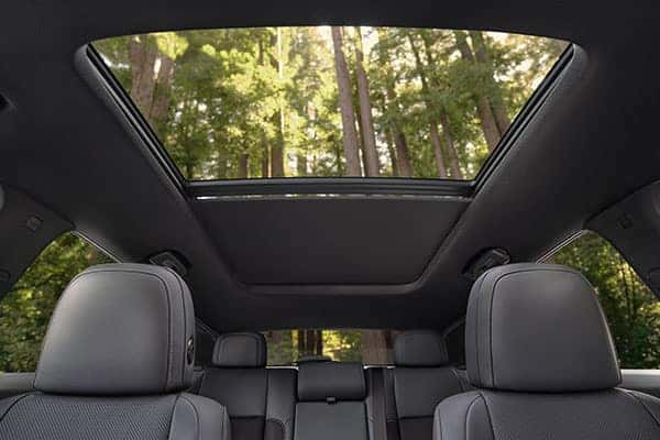 Honda Prologue rear view